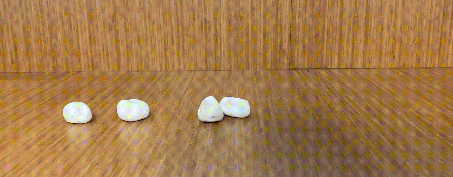 ../_images/sumobot.gif
